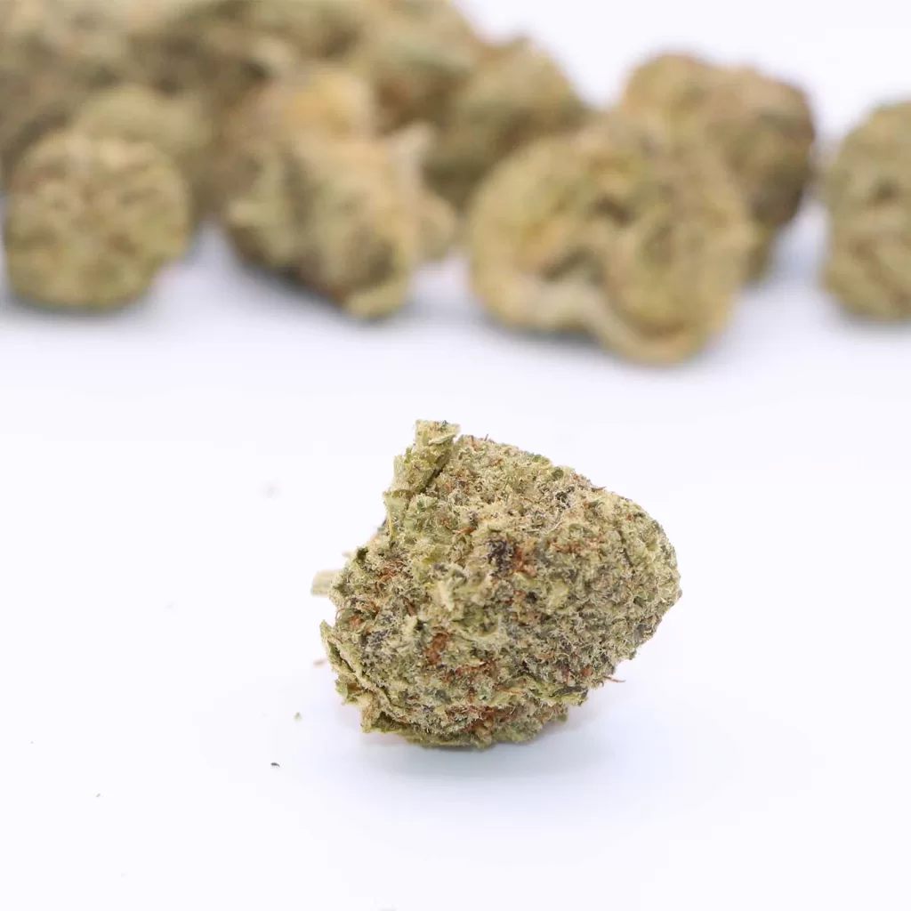 well made mac daddy purps review cannabis photos 6 merry jade