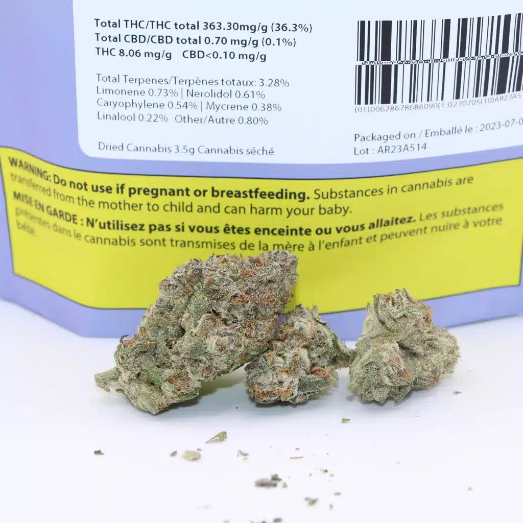 celebrity raptors rntz review cannabis photos 3 merry jade