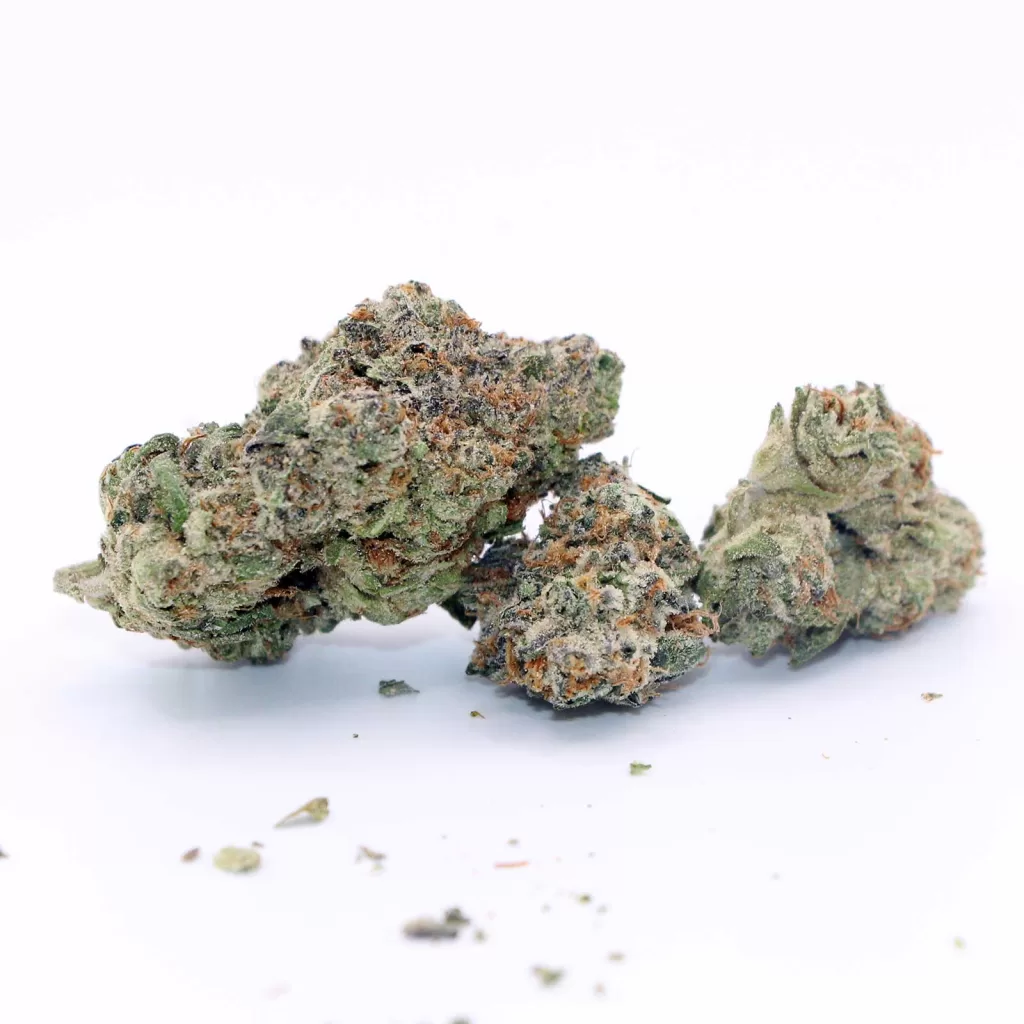 celebrity raptors rntz review cannabis photos 4 merry jade