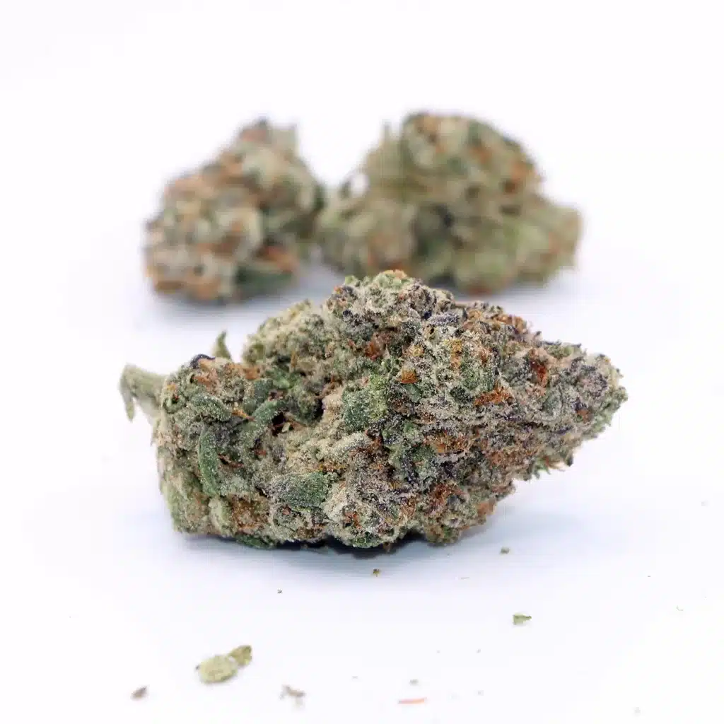 celebrity raptors rntz review cannabis photos 5 merry jade