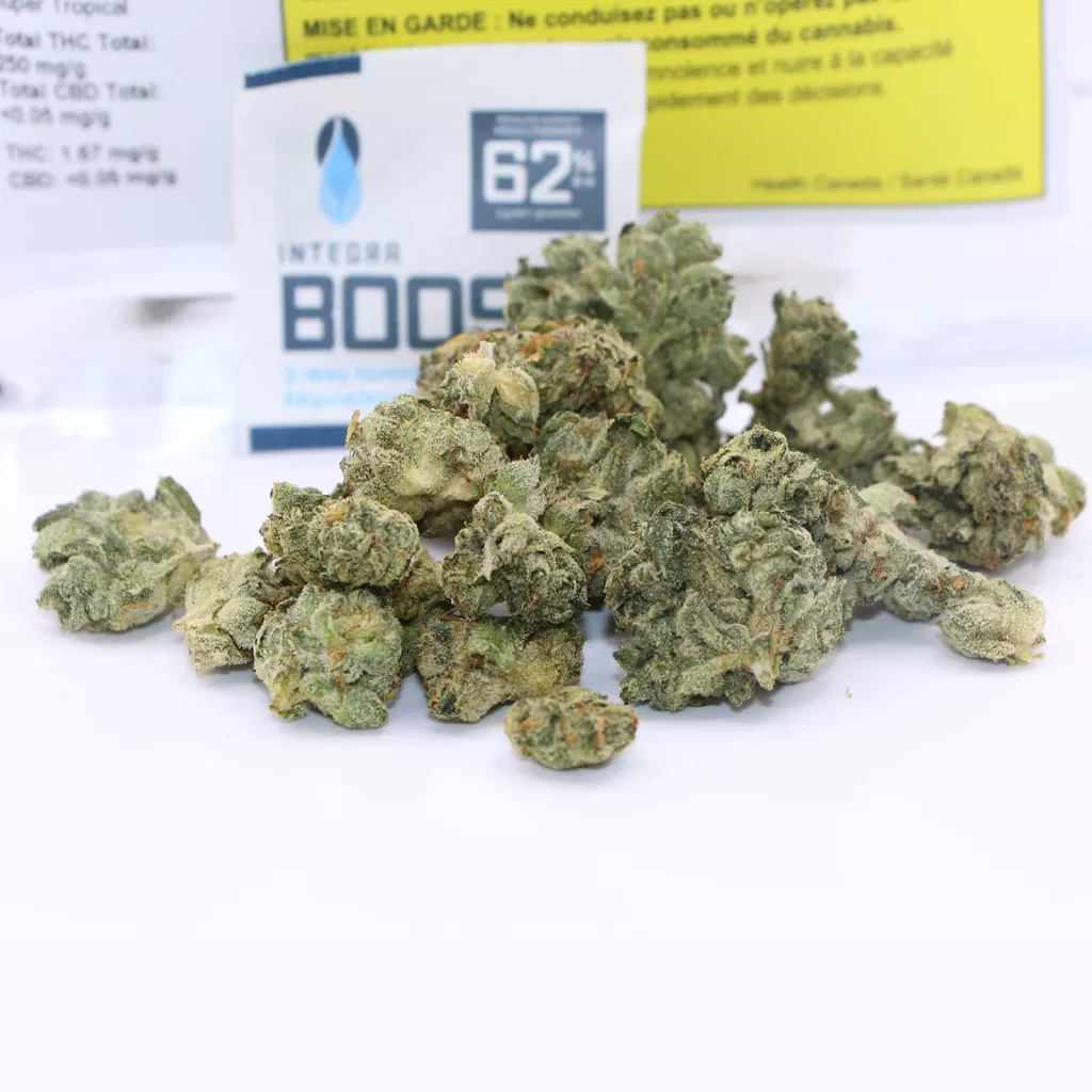 holy mountain gmo tropical reign review cannabis photos 3 merry jade