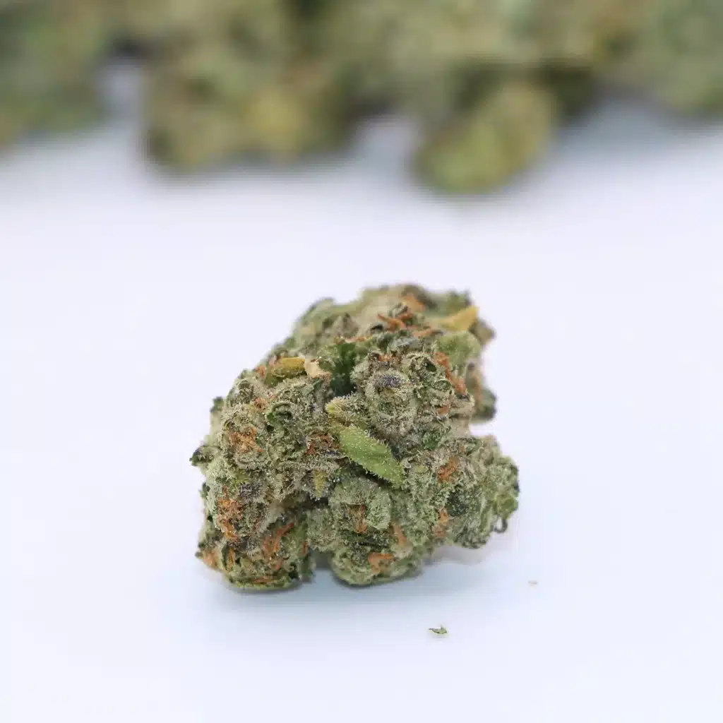 holy mountain gmo tropical reign review cannabis photos 5 merry jade
