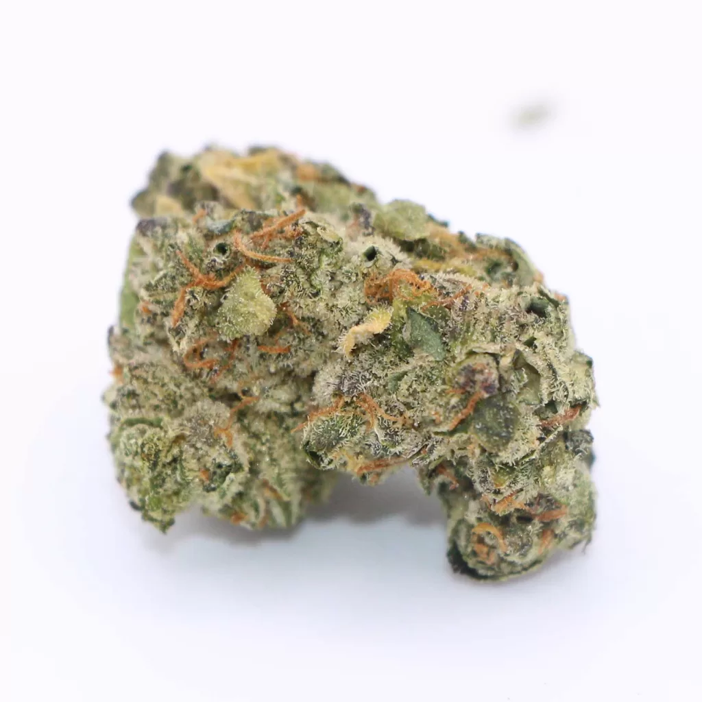 holy mountain gmo tropical reign review cannabis photos 6 merry jade