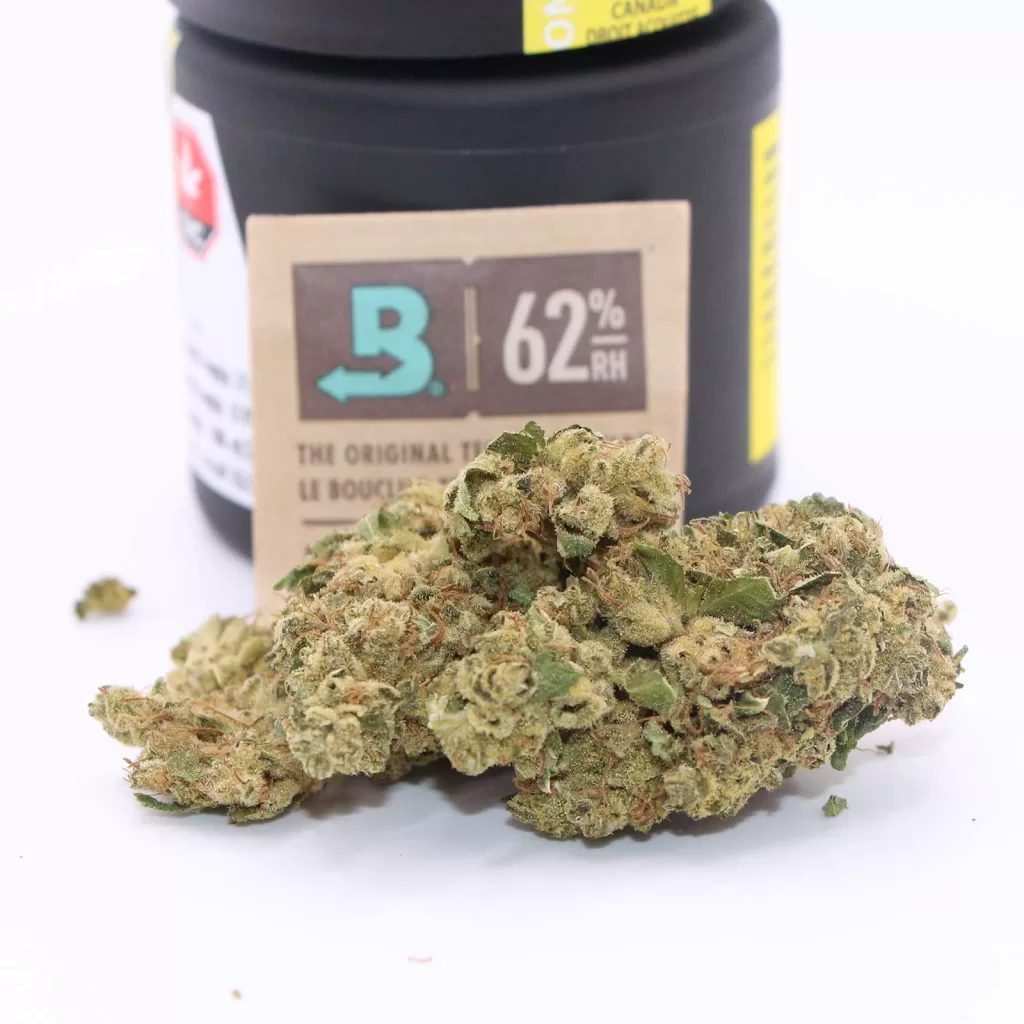 tantalus coastal sage review cannabis photos 3 merry jade