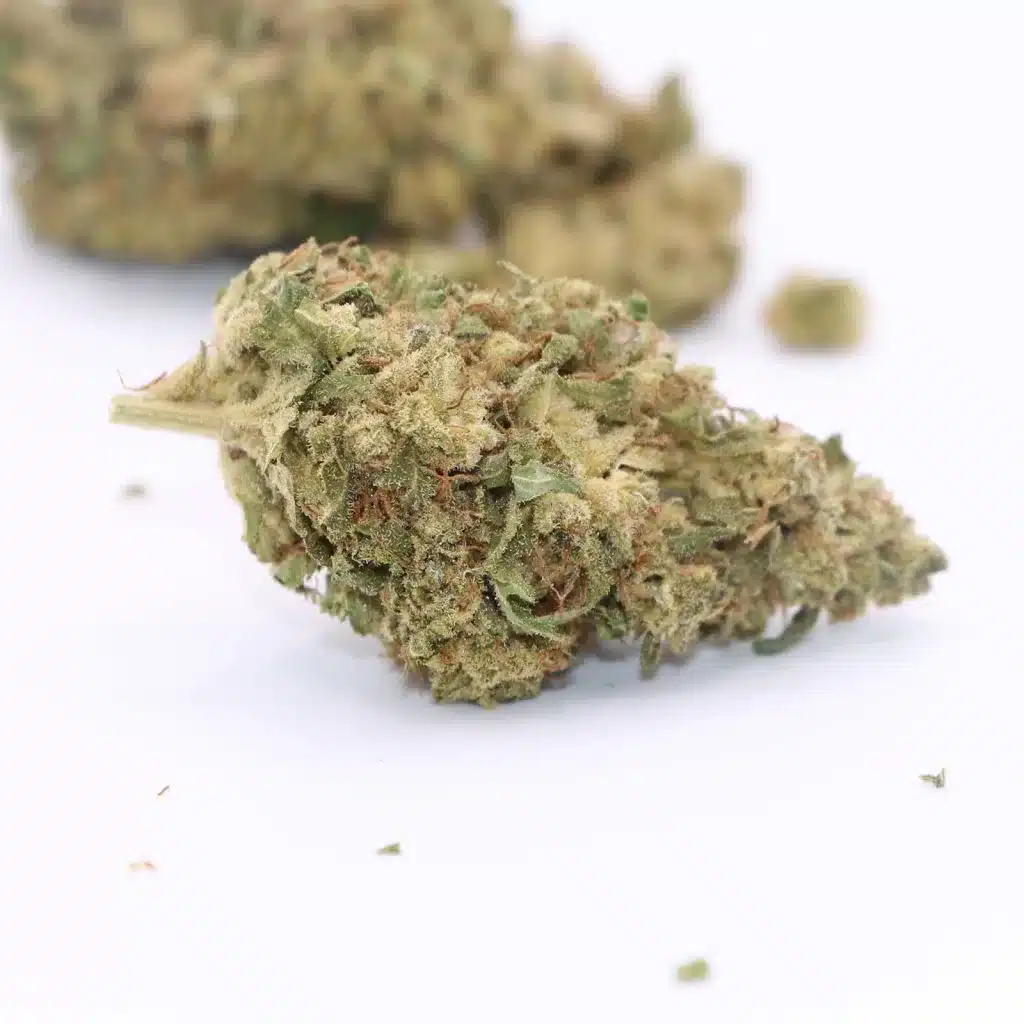 tantalus coastal sage review cannabis photos 5 merry jade
