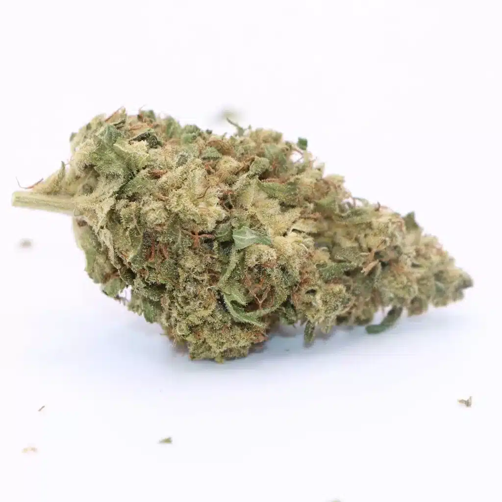 tantalus coastal sage review cannabis photos 6 merry jade