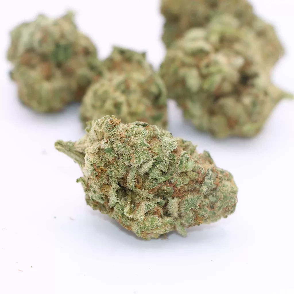 parcel sweet notes sundae driver review cannabis photos 5 merry jade