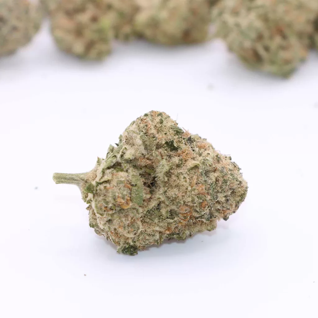 original fraser valley weed co top crop review photos 6 merry jade