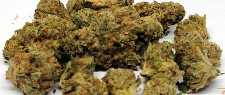 sundial strawberry twist cannabis review