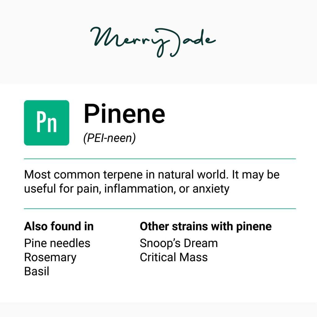 cannabis terpene pinene 1
