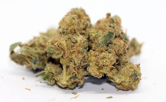 citizen stash sage n sour cannabis review photos