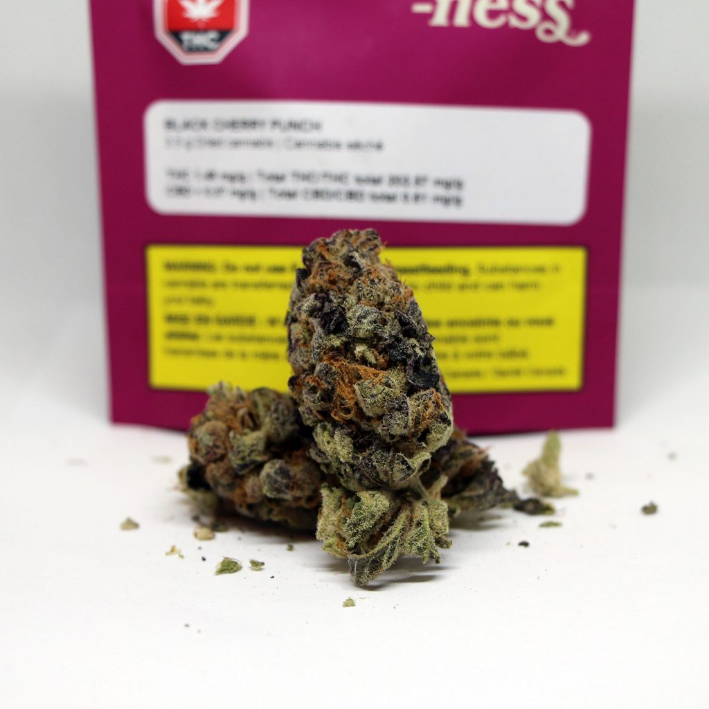 ness black cherry punch cannabis review photos 2