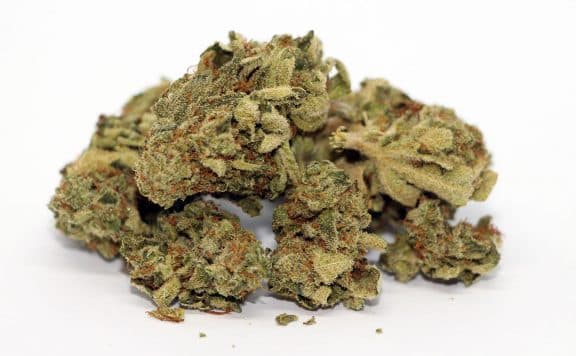 skosha nor easter cannabis review photos