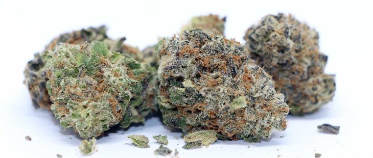 citizen stash stonewall cannabis review