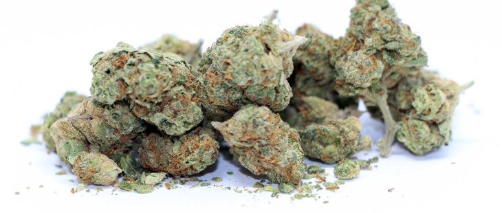 good supply starwalker kush cannabis review
