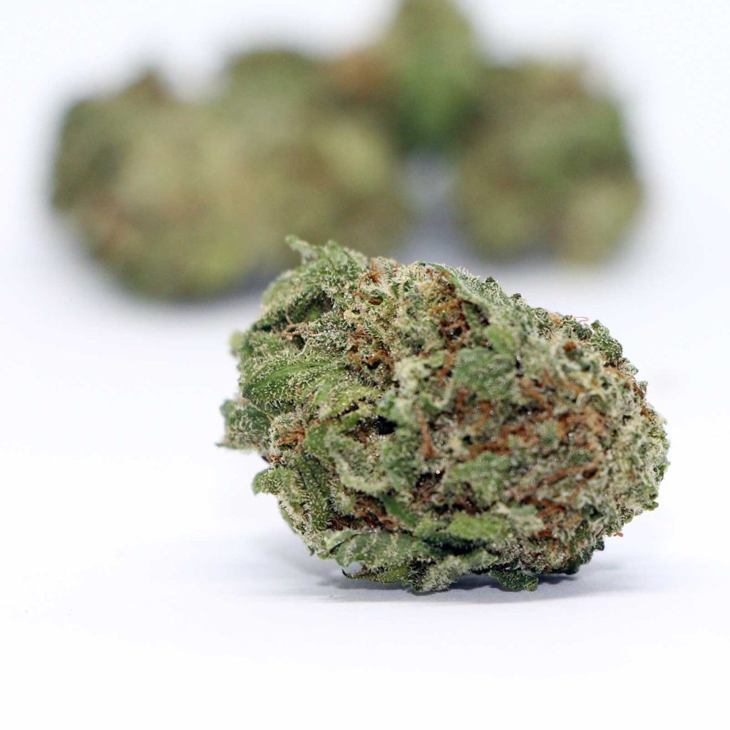 pure sunfarms blueberry kush cannabis review photos 3
