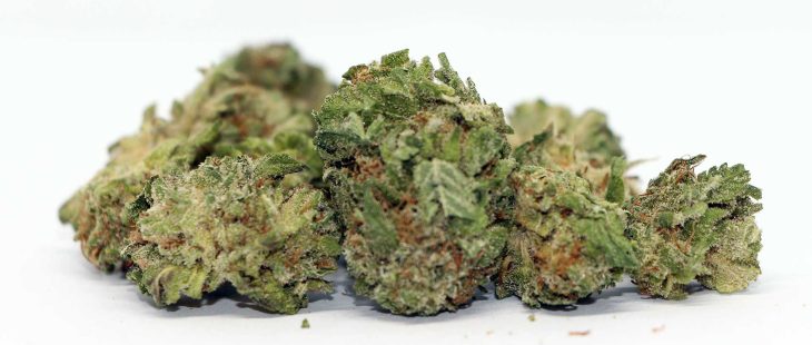 pure sunfarms blueberry kush cannabis review photos