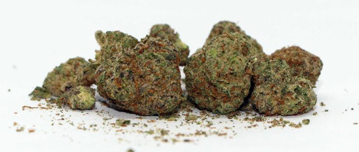 riff hell cat 33 review cannabis photos