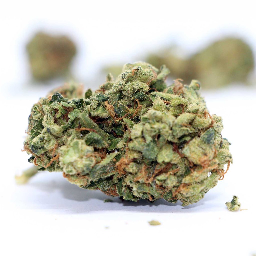 tweed afghan kush cannabis review photos 4