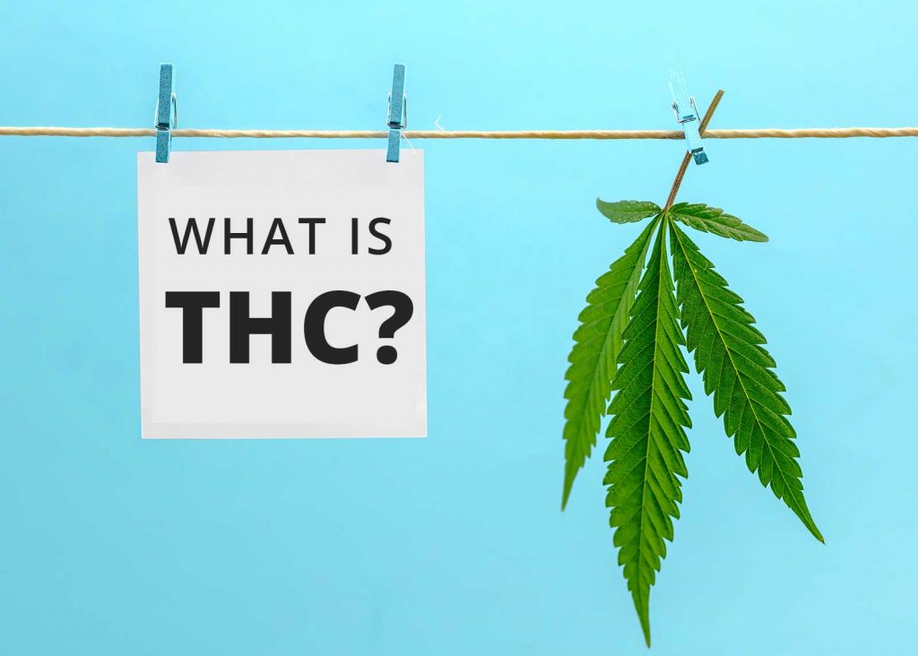 what is thc