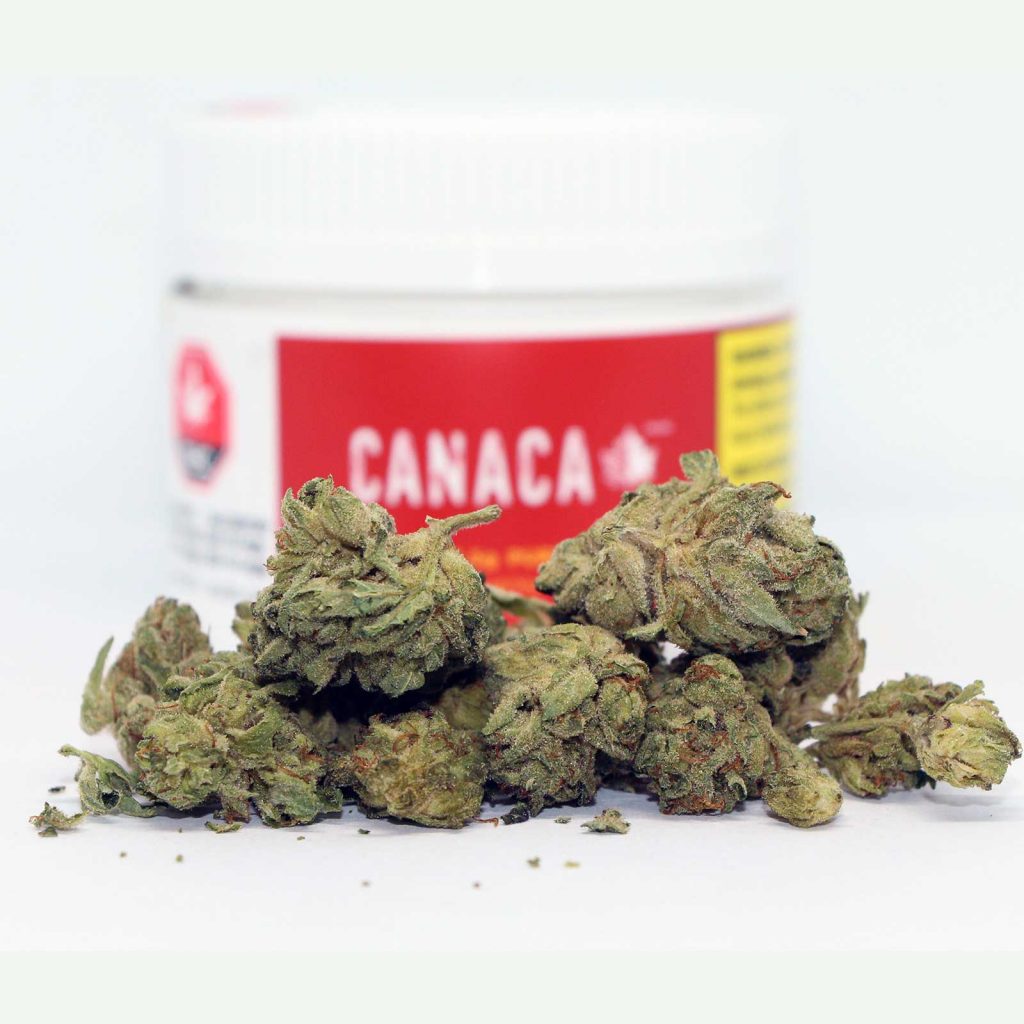 canaca cannabis purps review photos 2 cannibros