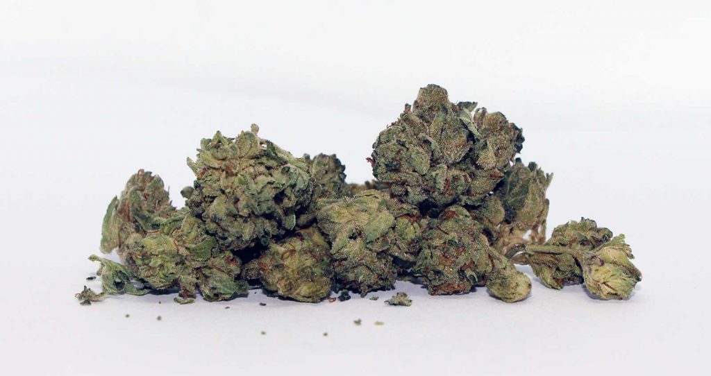 canaca cannabis purps review photos 3 cannibros