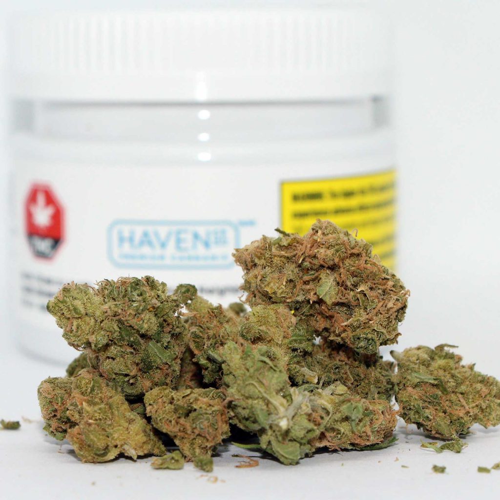 haven st cannabis no 515 noisy neighbour review photos 2