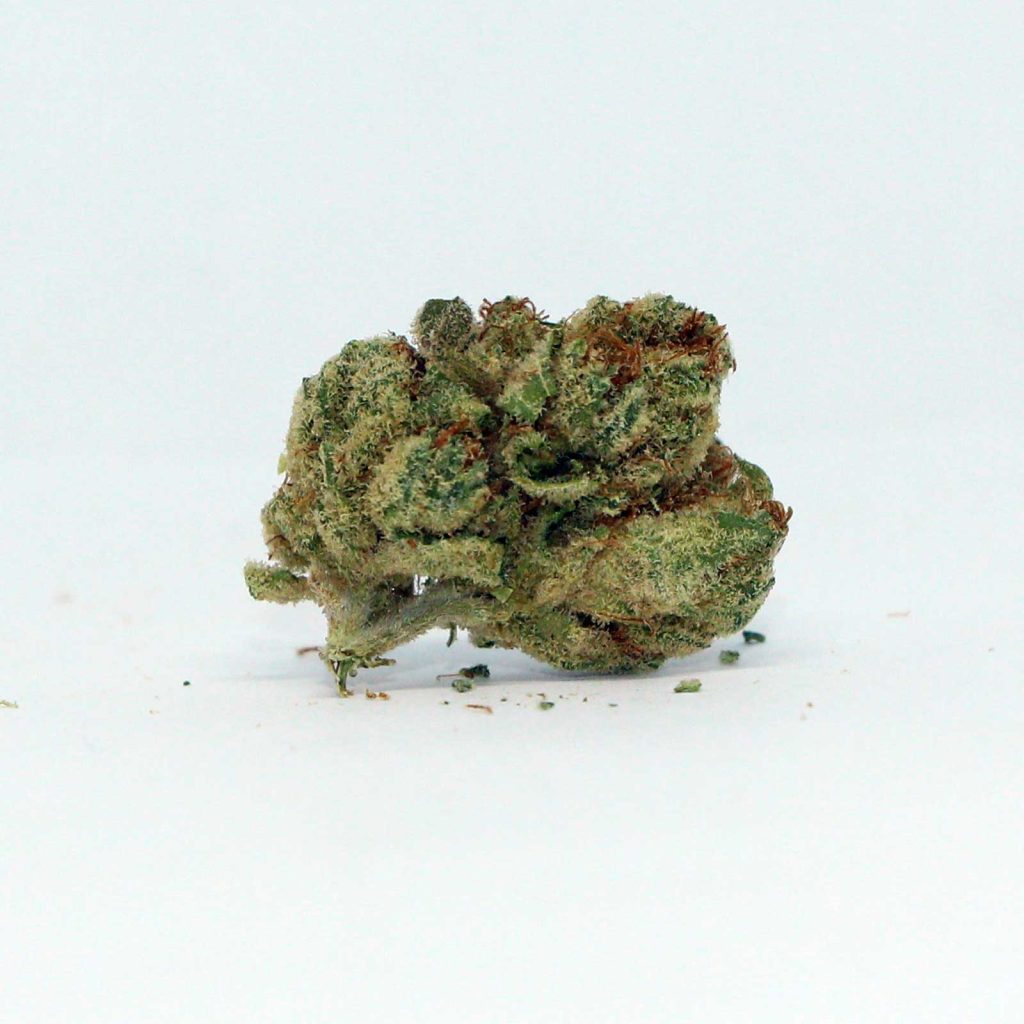 queen west 94 og kush cannabis review photos 4
