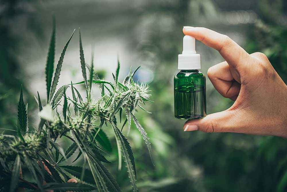 what are Cannabis Tinctures