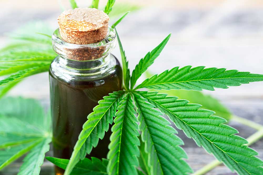 what is cannabis oil