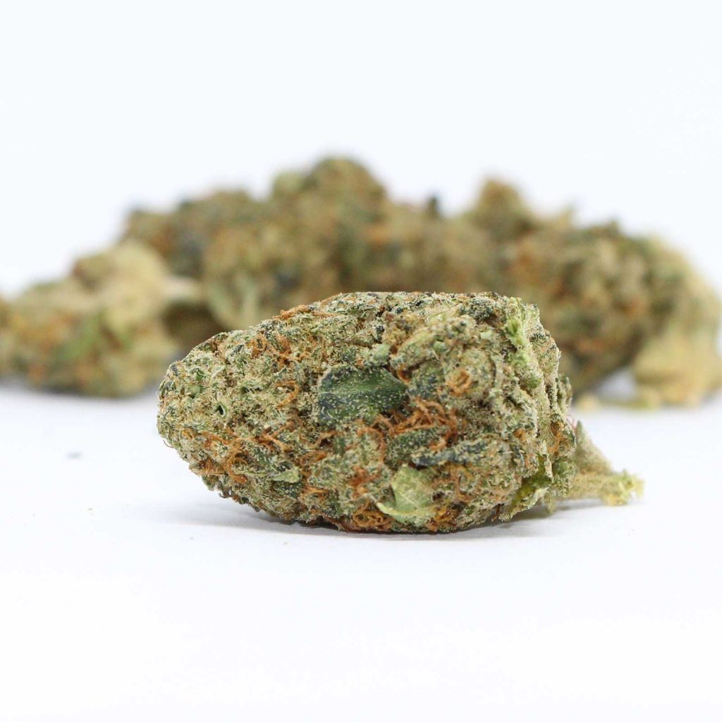 greenseal gorilla berry review cannabis photos 4 cannibros