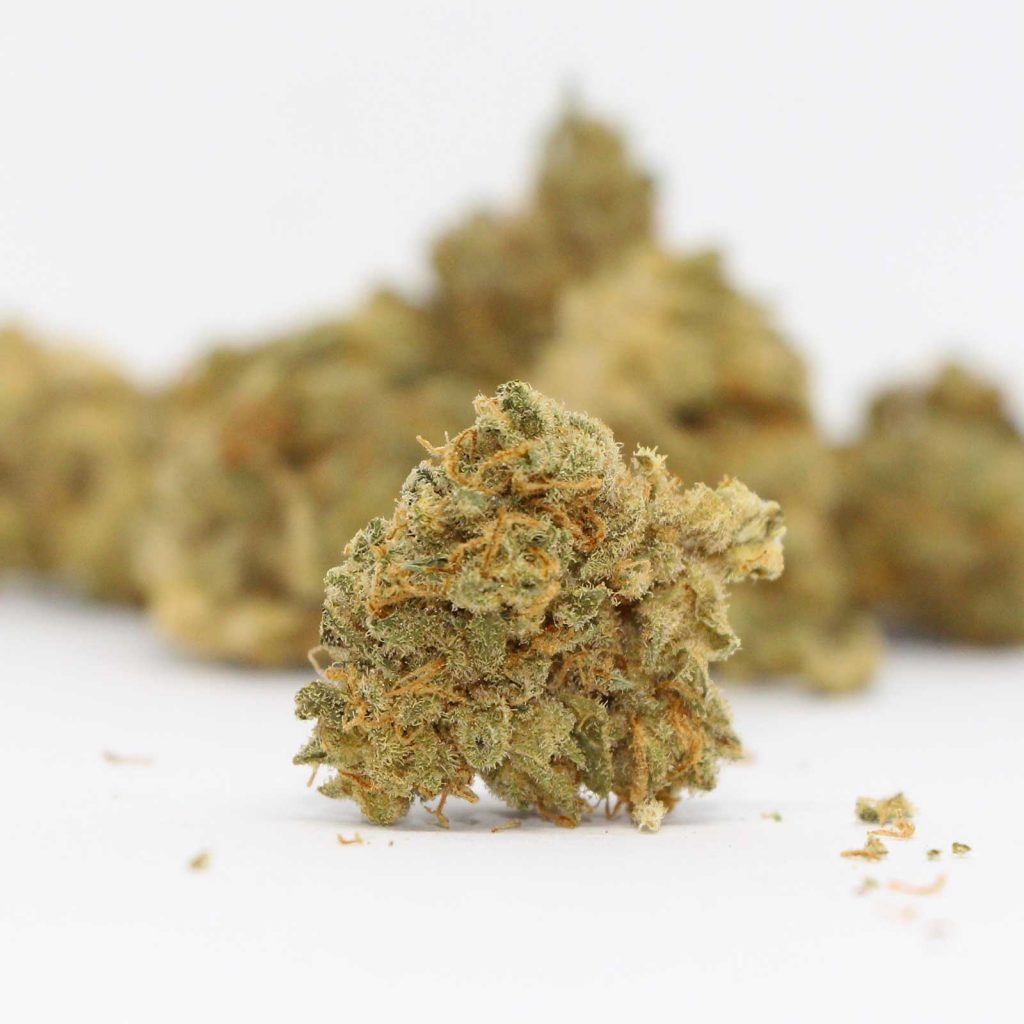 muskoka grown glueberry og review cannabis photos 4 cannibros
