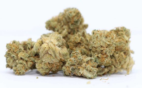muskoka grown glueberry og review cannabis photos cannibros