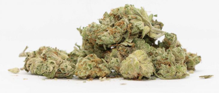 ness sour strawberry kush review cannabis photos cannibros