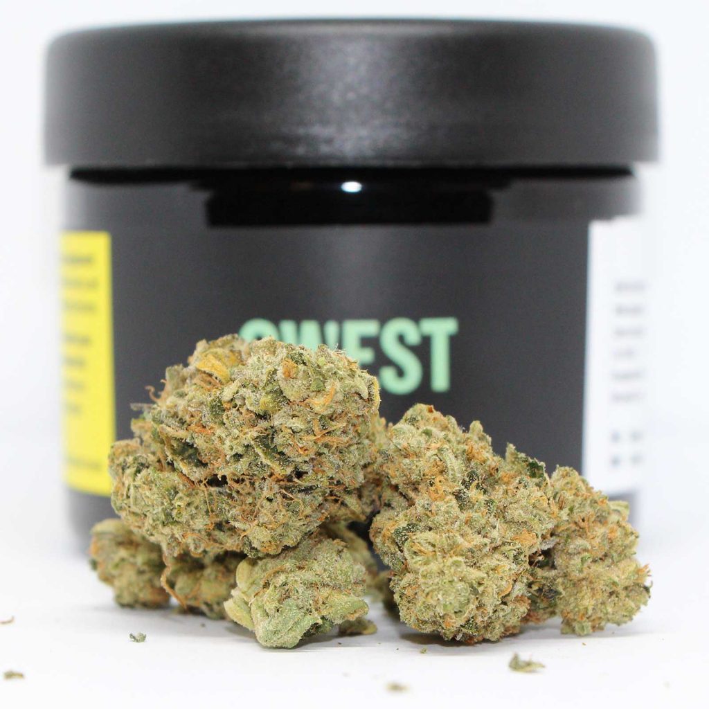 qwest ex wife review cannabis photos 3 cannibros