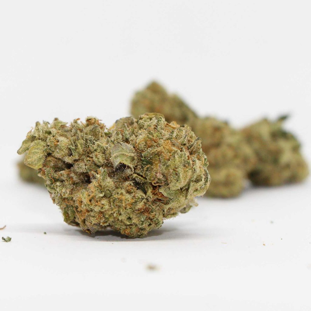 qwest ex wife review cannabis photos 5 cannibros