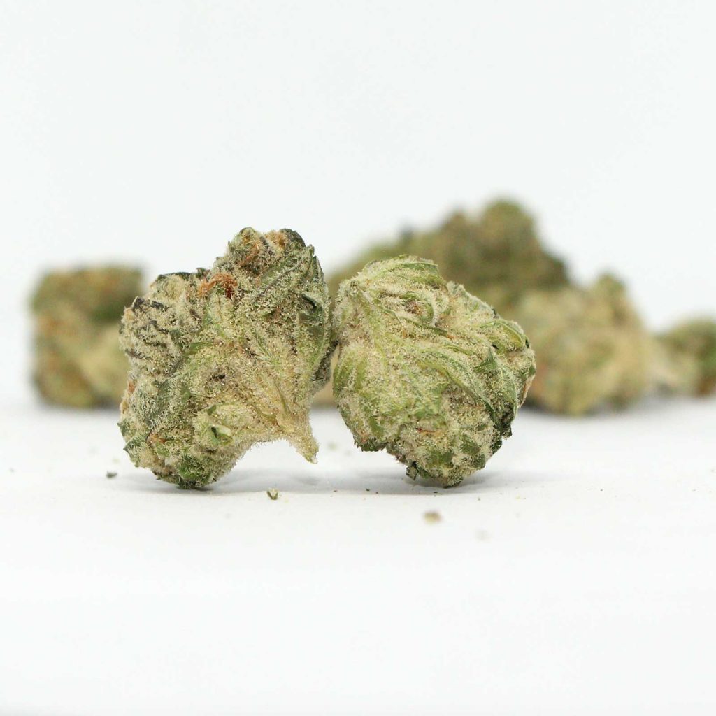 table top purple punch review cannabis photos 4 cannibros