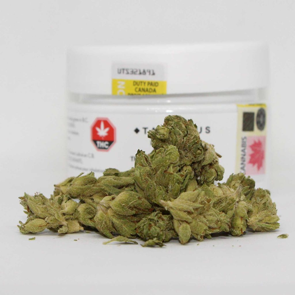 tantalus labs pacific og review cannabis photos 2 cannibros