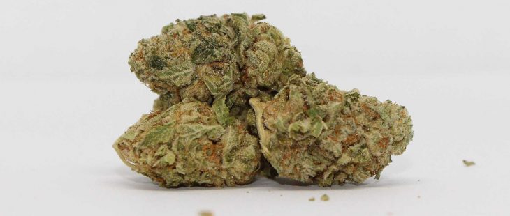 top leaf la kush cake review cannabis photos cannibros