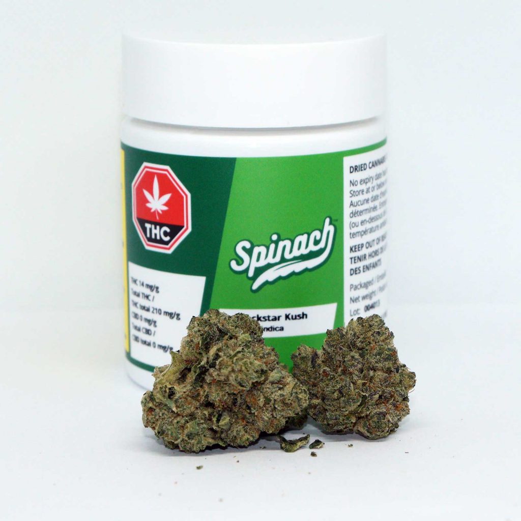 spinach rockstar kush review cannabis photos 2 cannibros