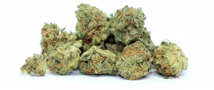 reef organic coastal kush review cannabis review cannibros