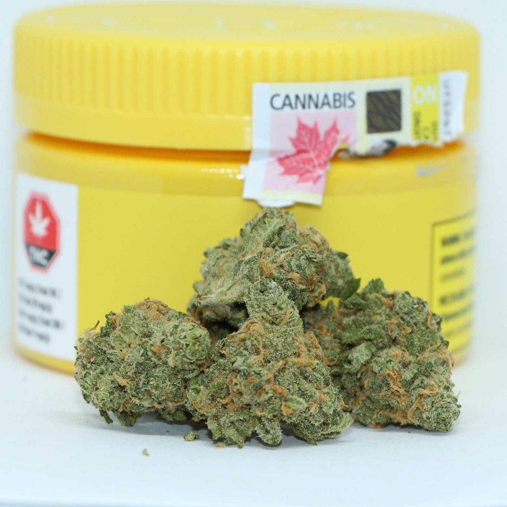 sundial blue nova review cannabis photos 2 cannibros