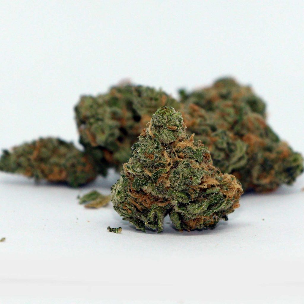 sundial blue nova review cannabis photos 4 cannibros