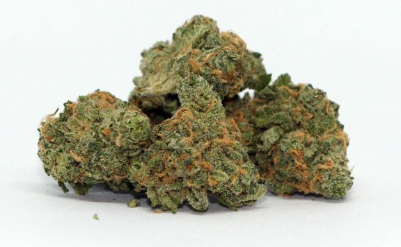 sundial blue nova review cannabis photos cannibros