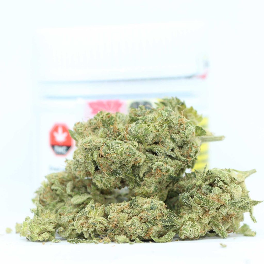 Apothecary Botanicals gelato review cannabis photos 2 cannibros