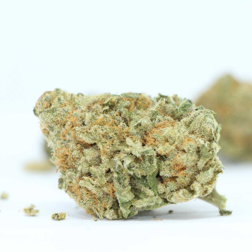 edison cannabis co mmosa review photos 4 cannibros