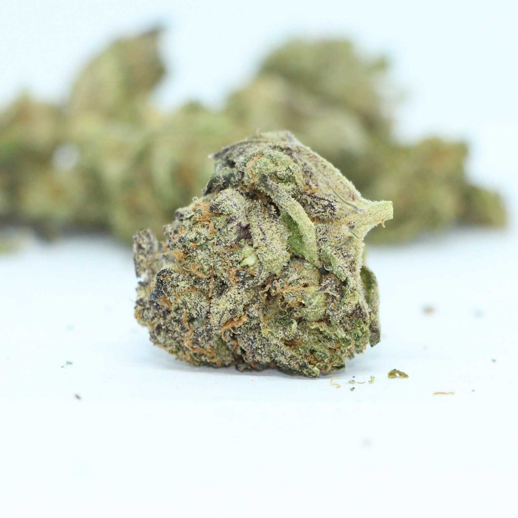 snackbar macslurry review cannabis photos 4