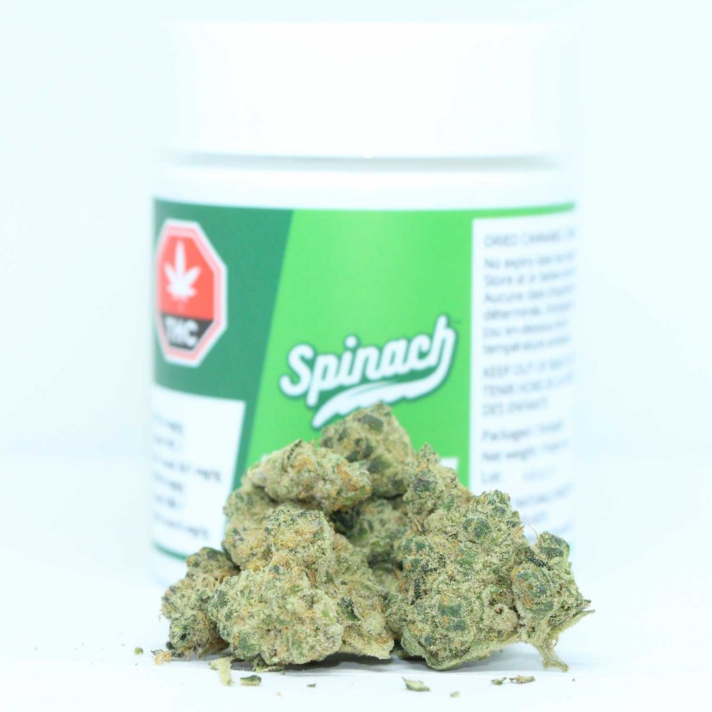 spinach gmo cookies review cannabis photos 2 cannibros