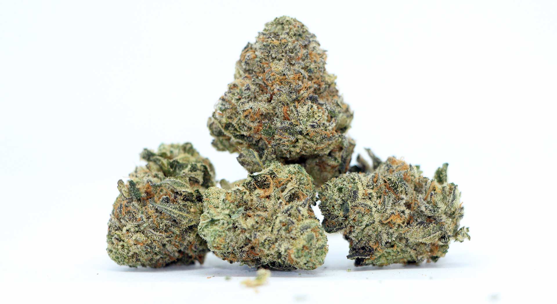 Sugarbud Krypto Chronic 2 Review