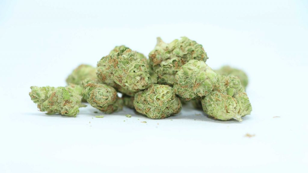 melt gmo cookiez review cannabis photos 3 cannibros